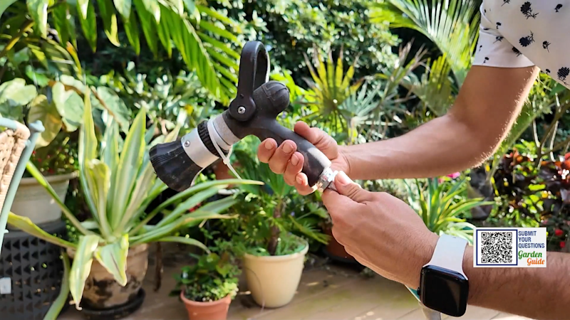 Story image: What happens if you STOP watering your garden in late summer?