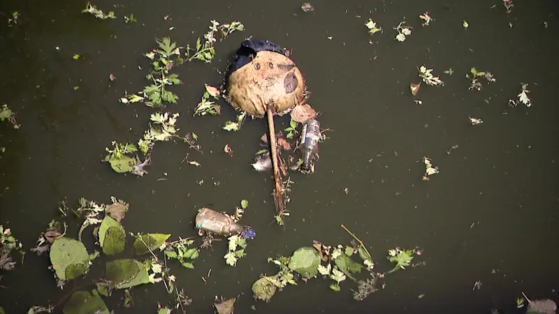 Story image: Trash-filled pond in West Hempstead sparks community concern