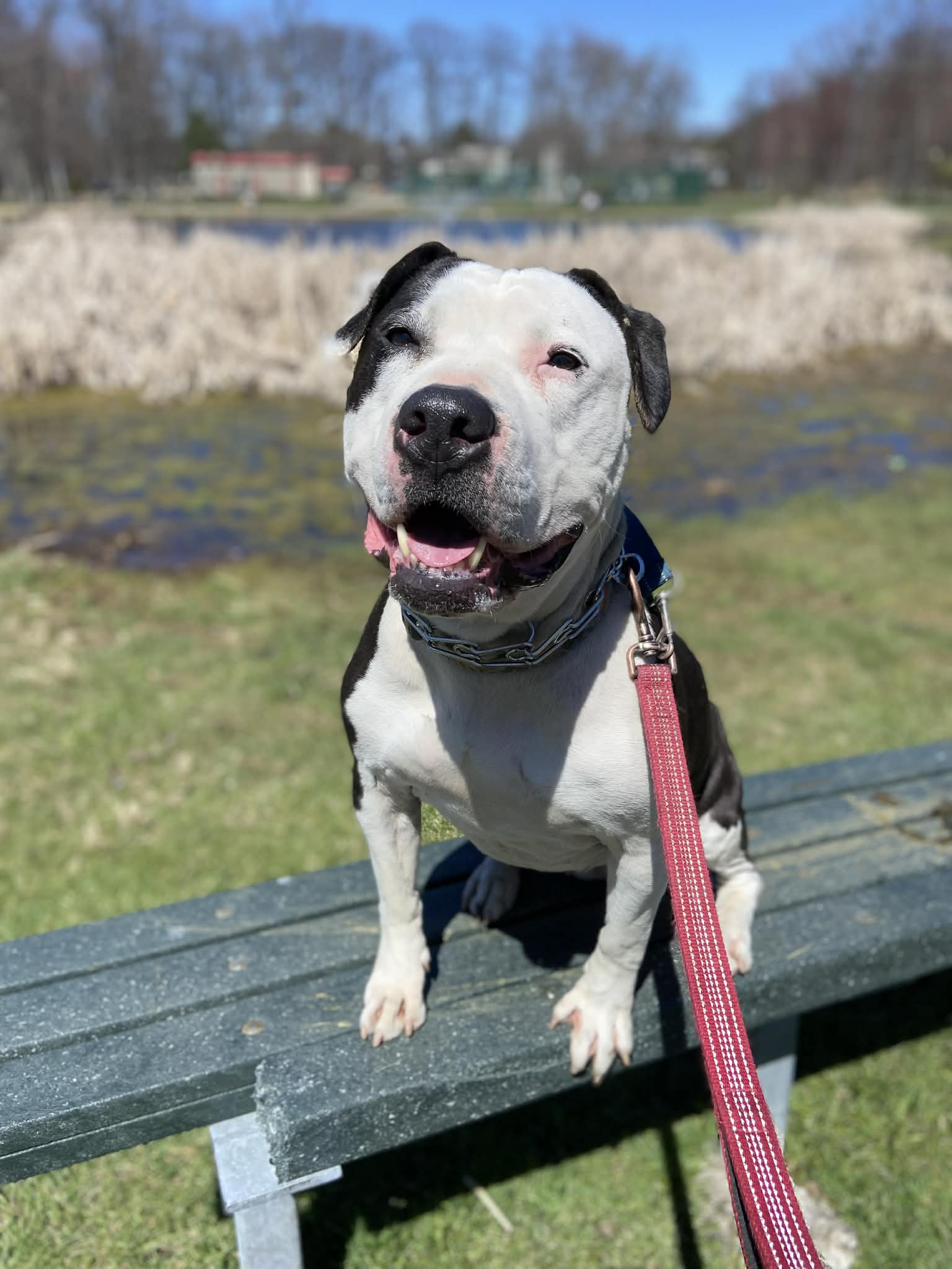 1e58d42f-8dc8-414a-83b1-d05b78166443.jfif