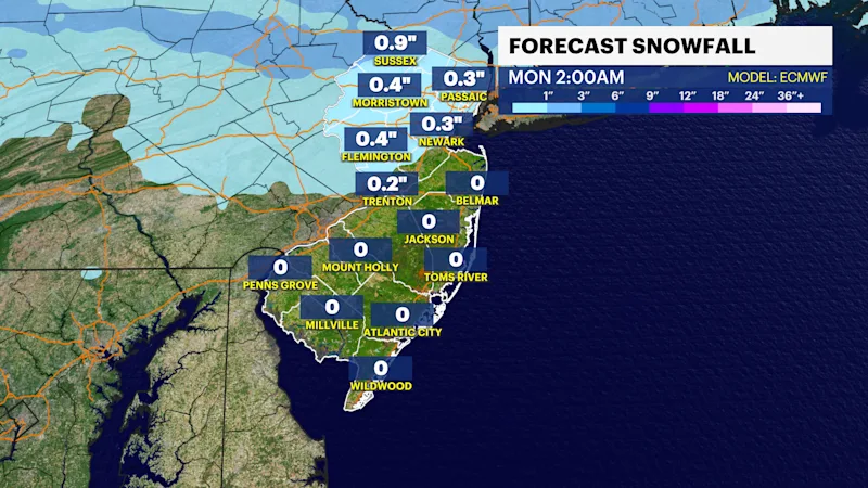 NJ Mon 02032025 Snow Totals 2am.png