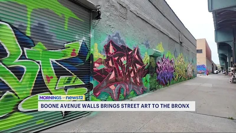 Story image: Boone Avenue Walls lights up the Bronx through art