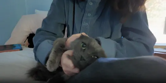 marissa cat