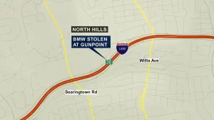 Police: Driver gets rear-ended and BMW stolen at gunpoint on LIE