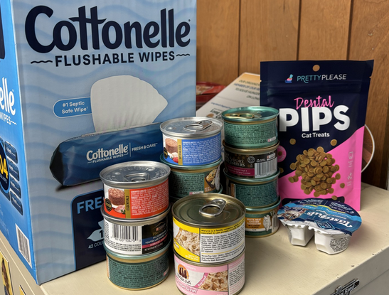 Story image: Food Pantry Fridays: First Presbyterian Church of Babylon