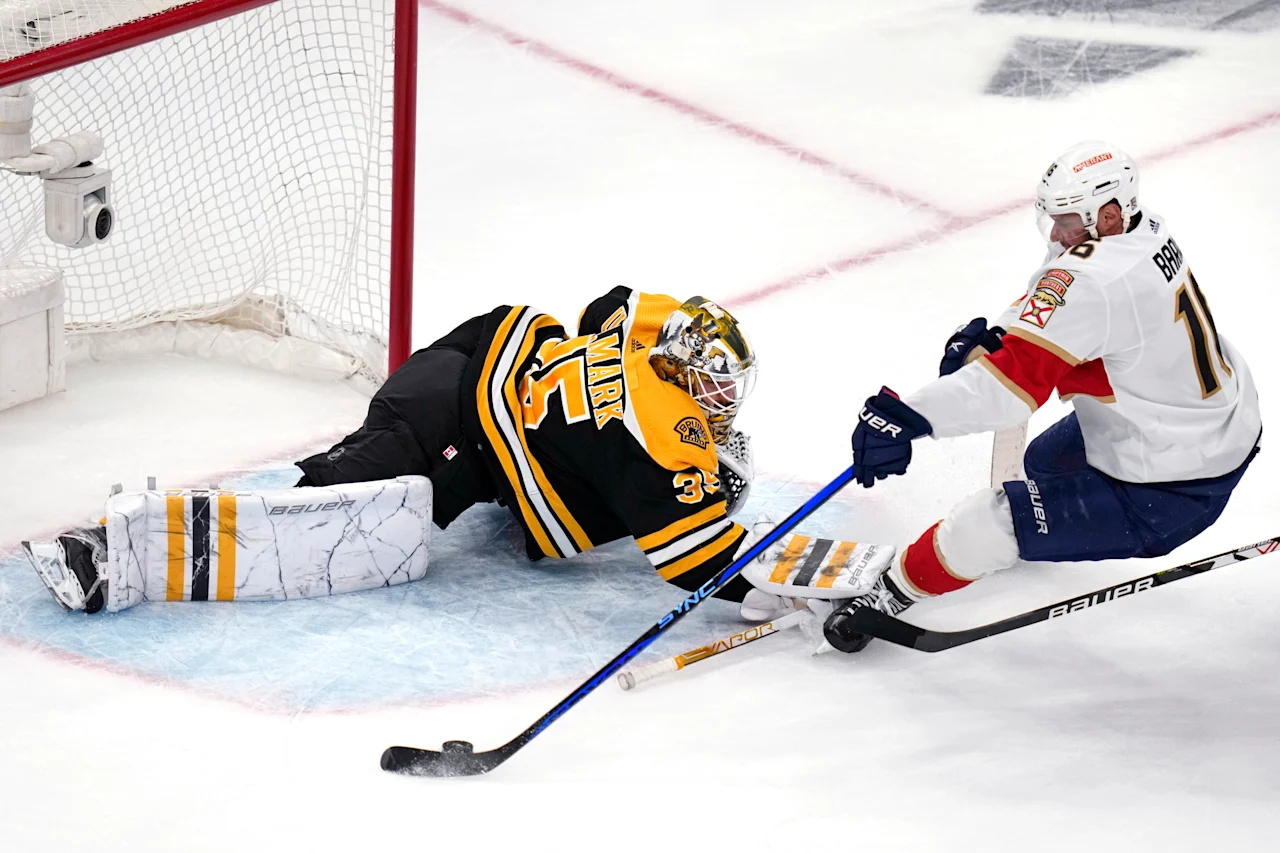 Bruins