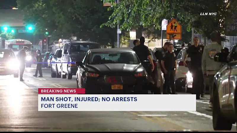 Story image: Man shot multiple times outside Whitman Houses in Fort Greene