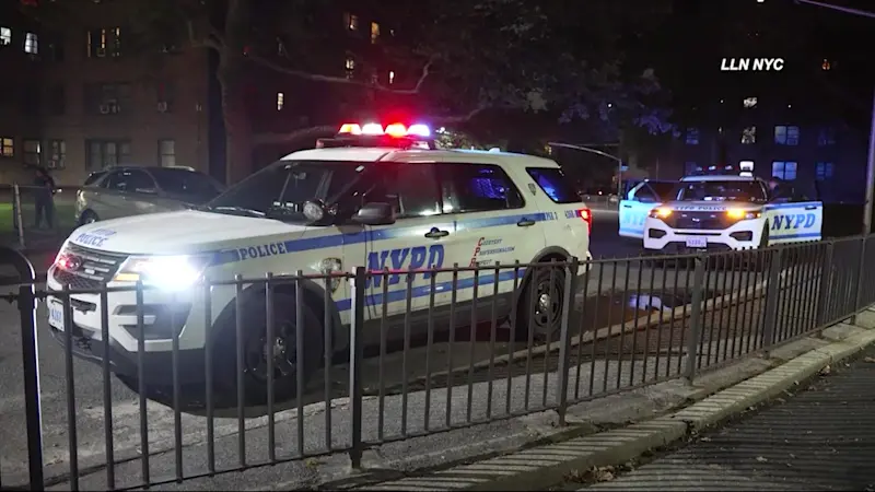 Story image: 19-year-old man injured in Bed-Stuy shooting