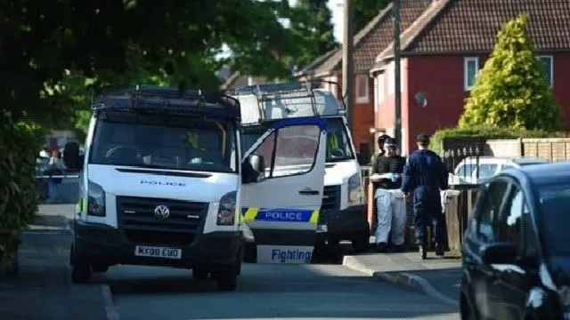 Article 118663 Thumbnail