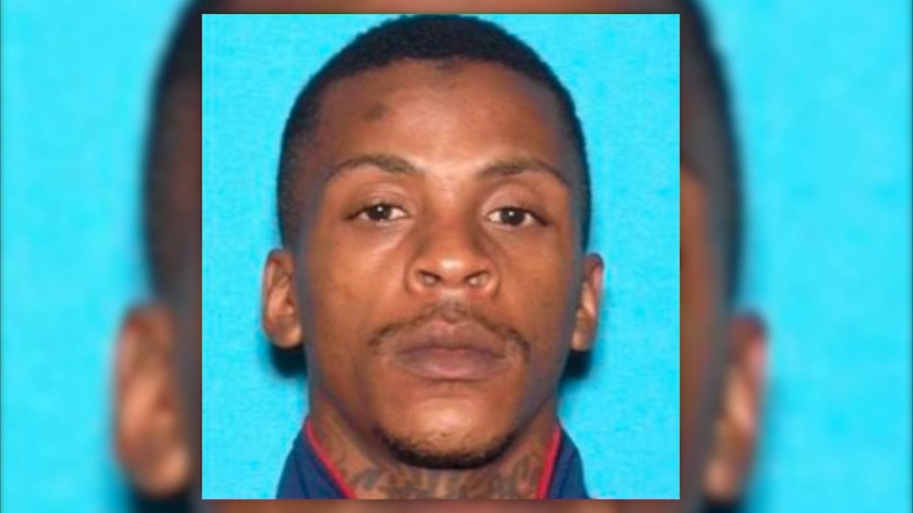 Article 46153 Thumbnail