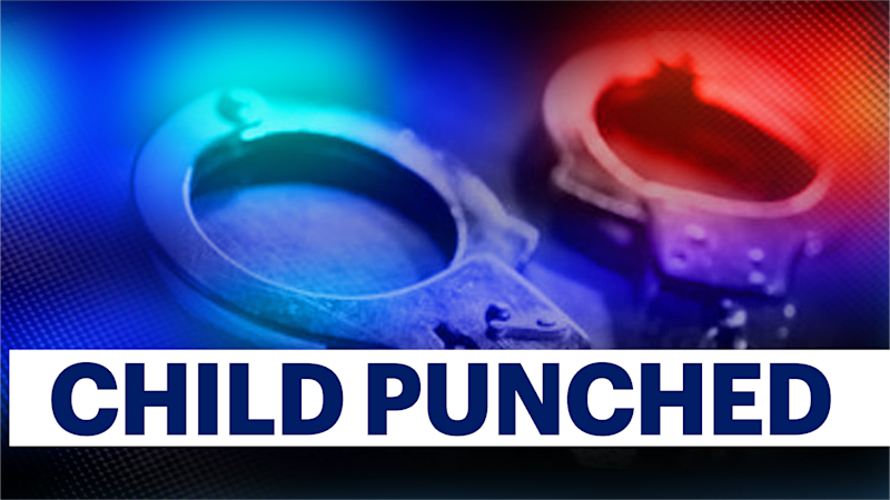 Story image: Bronx man accused of punching child at Bryant Park holiday market