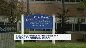 Police: 13-year-old robbed at knifepoint on soccer field of Turtle Hook Middle School