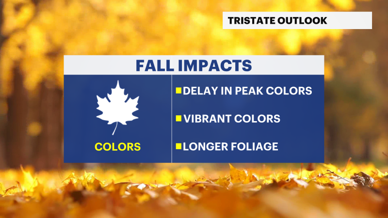 Story image: Fall is here with cooler air, leaves changing and shorter days