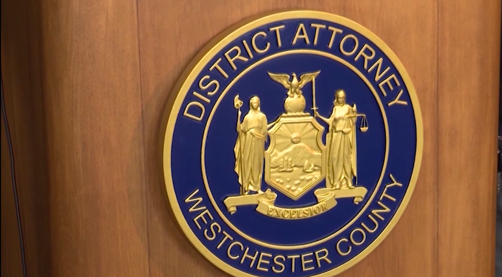 Yonkers Woman Guilty Plea