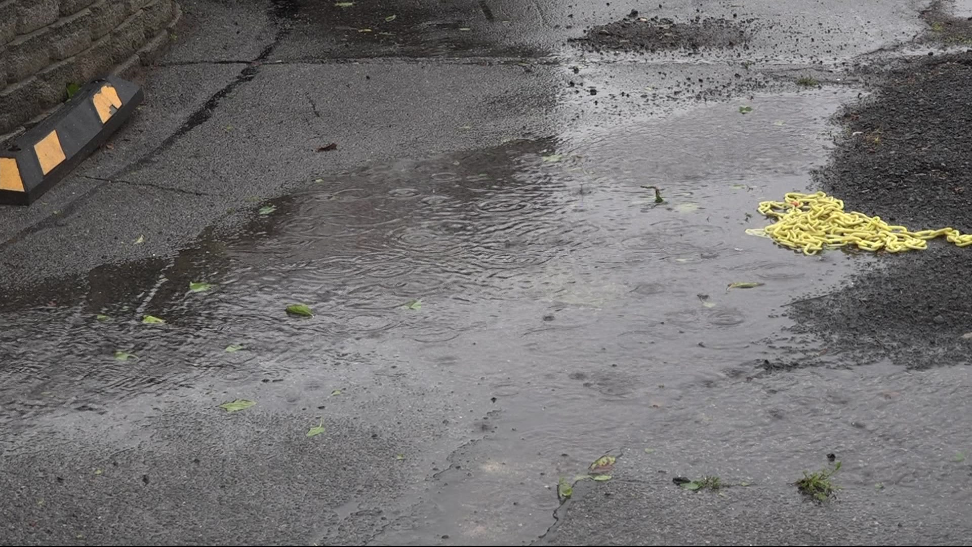 BKFLOODINGPREPS19245A_2024-01-09-05-50-37