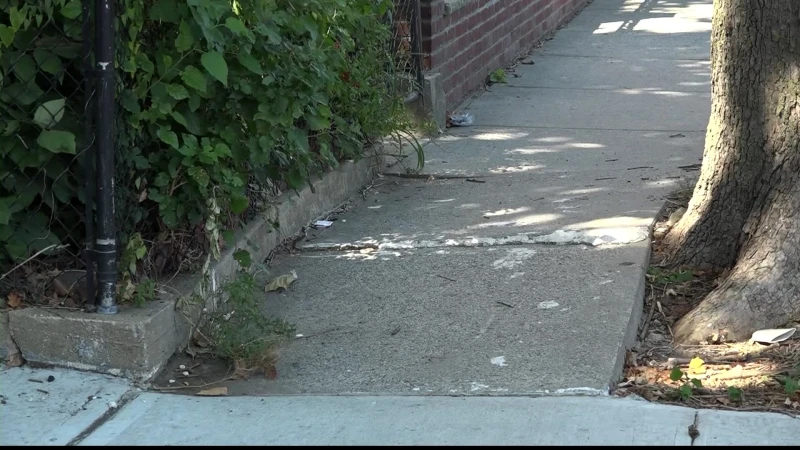 Story image: Bronx homeowner says trees creating safety issue on her property