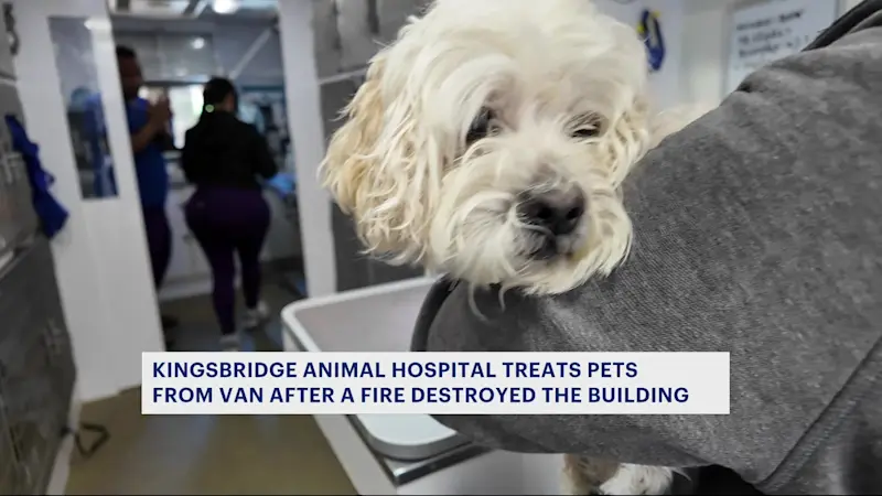 Story image: Kingsbridge animal hospital treats patients from a van after fire destroys building 