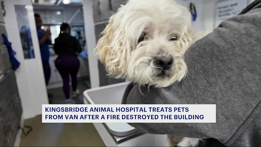Kingsbridge animal hospital treats patients from a van after fire destroys building