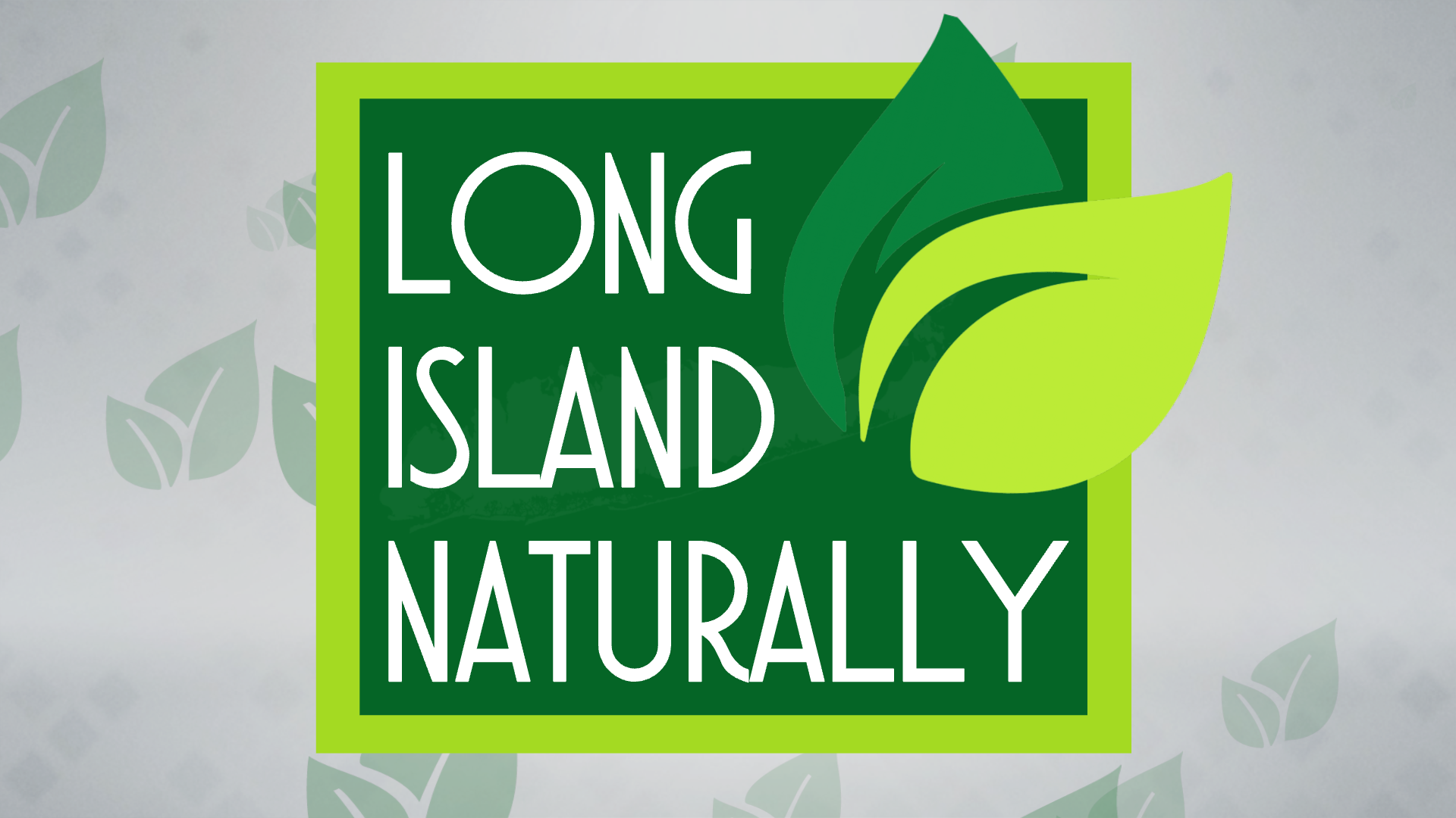 Article 115154 Thumbnail