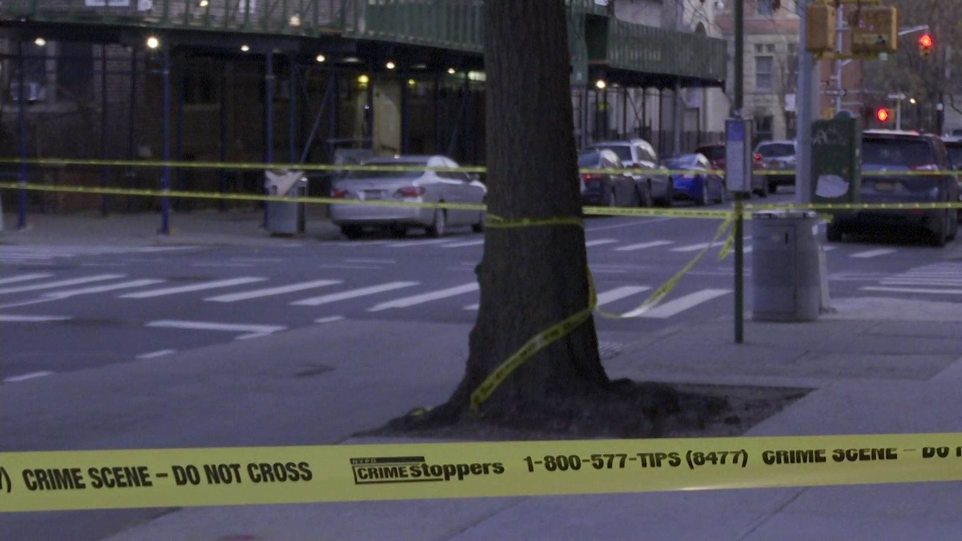 Police: 13-year-old Boy Fatally Shot In Crown Heights While Walking ...