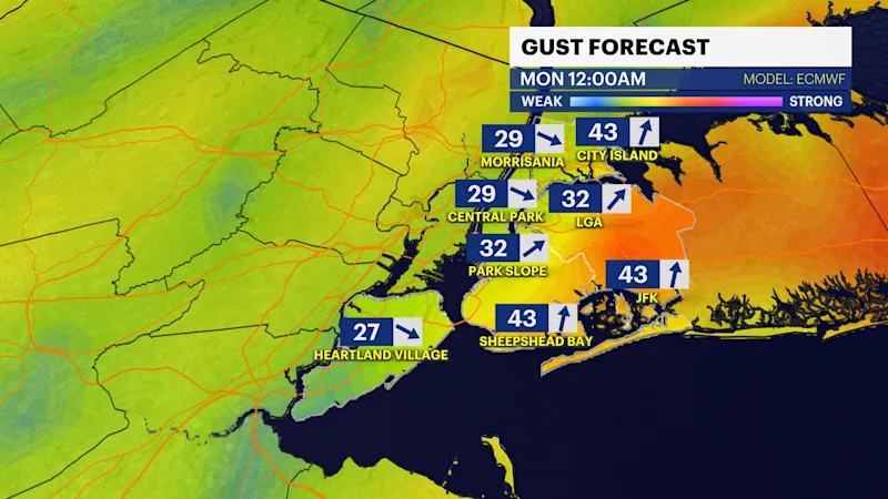 NY_F_Gust_ECMWF_9k.png