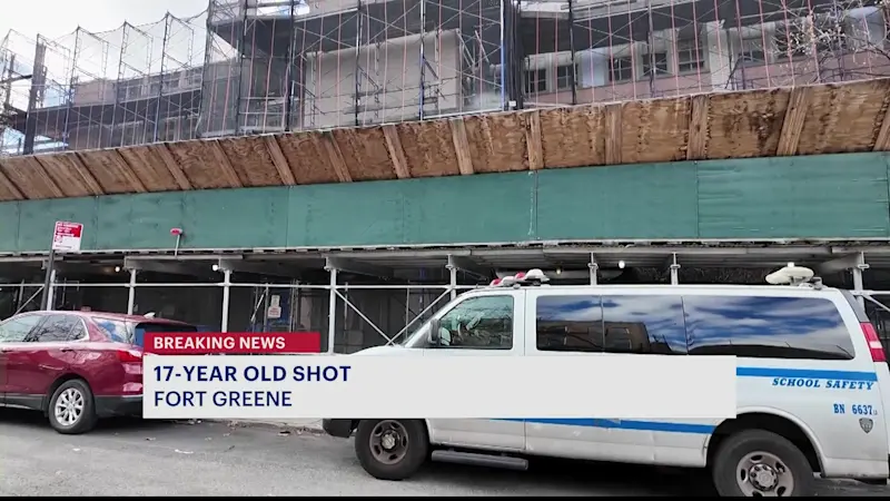 Story image: NYPD: 17-year-old student shot in the stomach outside of Fort Greene School