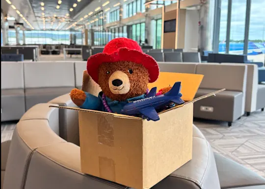PaddingtonLost