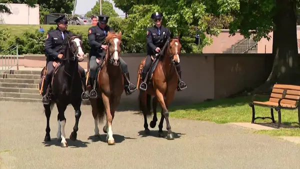 Nassau police hold graduation ceremony for trained dogs and horses