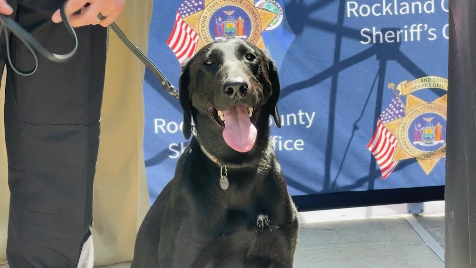 WCHVROCKLANDK9LLOYD0520430P_2026-05-20-16-42-47
