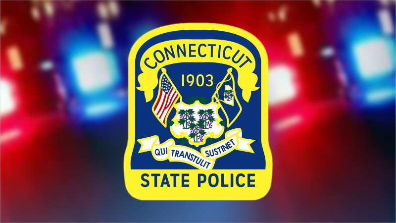 Story image: State police: Hunter dies after falling from a tree stand in Harwinton