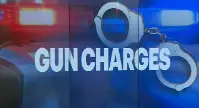 GUNCHARGES
