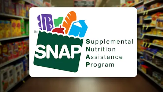 snap benefits box copy