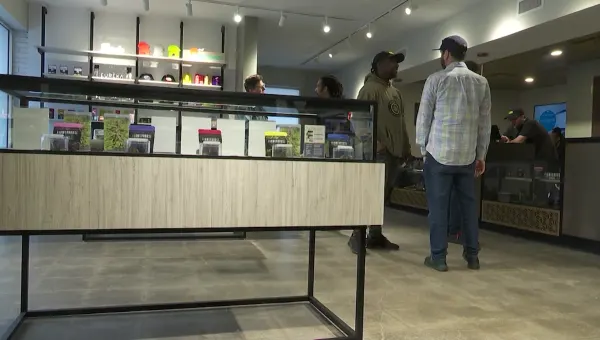 Cannabis dispensary owners head north to find holy grail of pot sales after being re-zoned