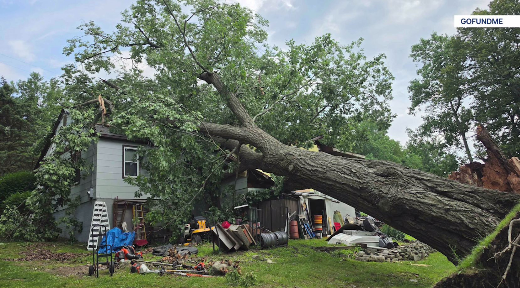 Tree into Highland Mills Home