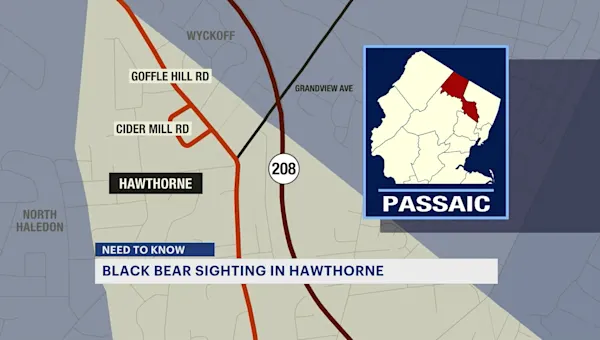 Police issue safety warning after black bear spotted in Hawthorne neighborhood