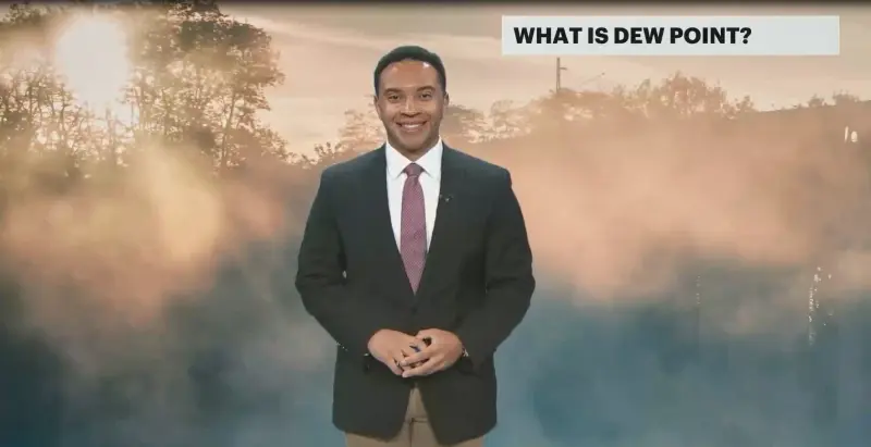 Story image: What is dew point and what is its impact?