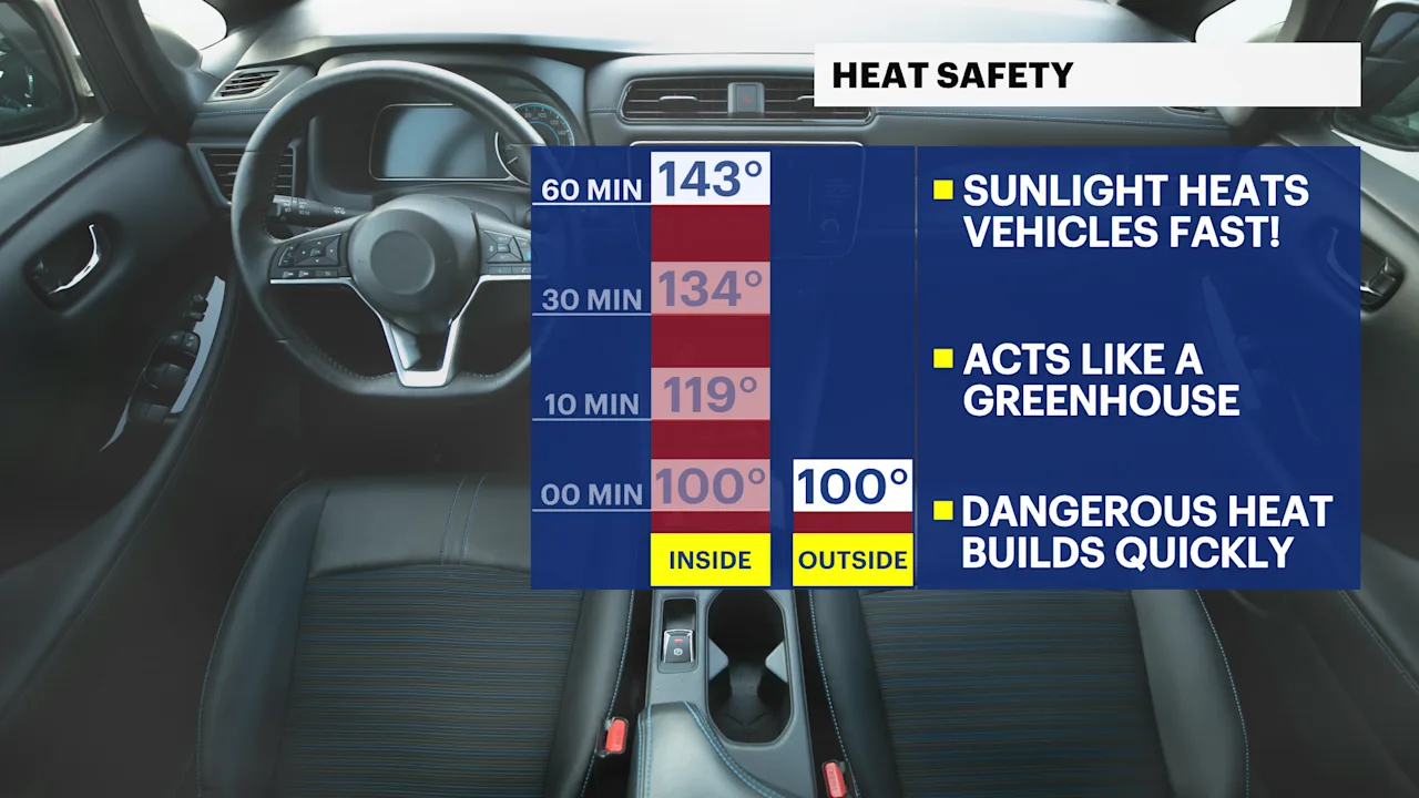 CARTEMPS-100DEGREES