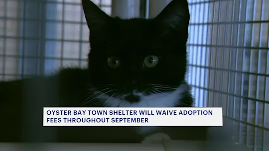 LIOYSTERBAYADOPT83126_2026-08-31-12-24-45