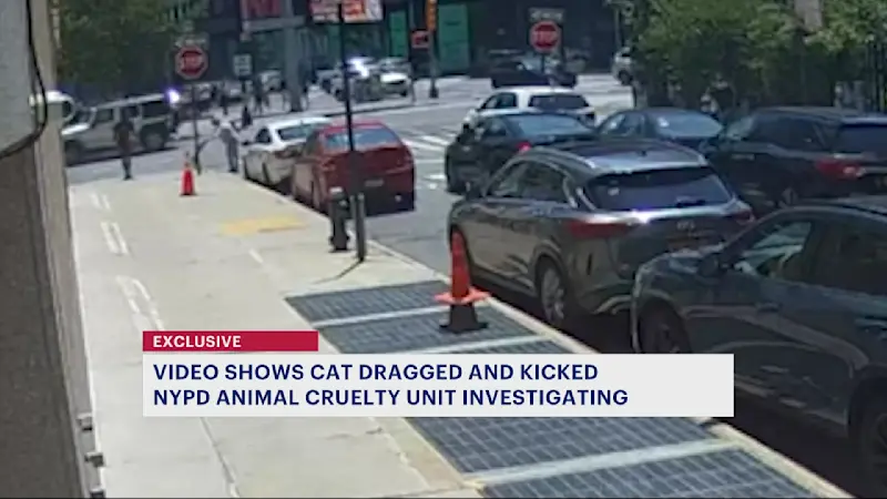 Story image: Neighbors outraged after video shows cat being dragged, hit in Fort Greene