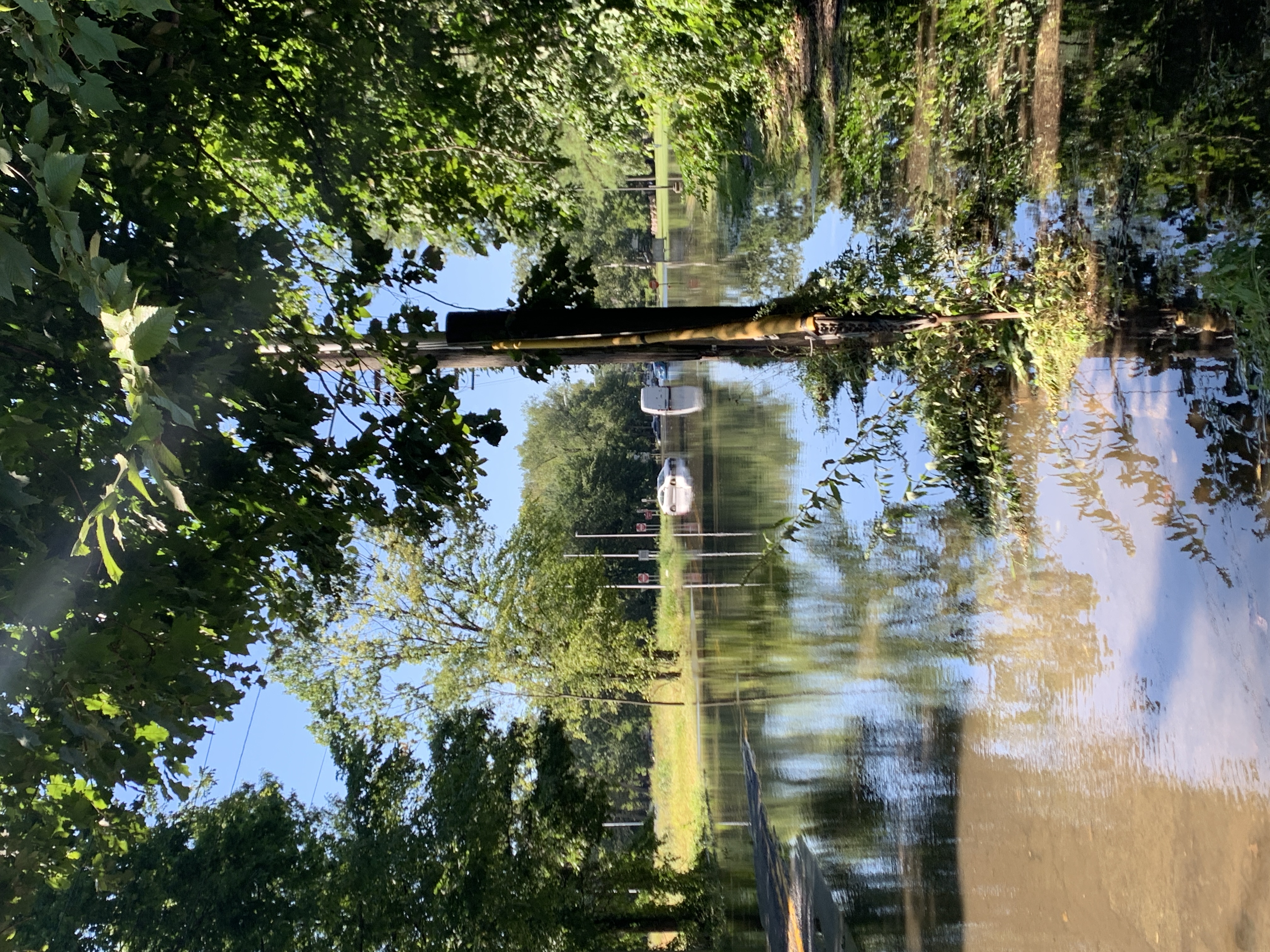 Article 271286 Hero Image