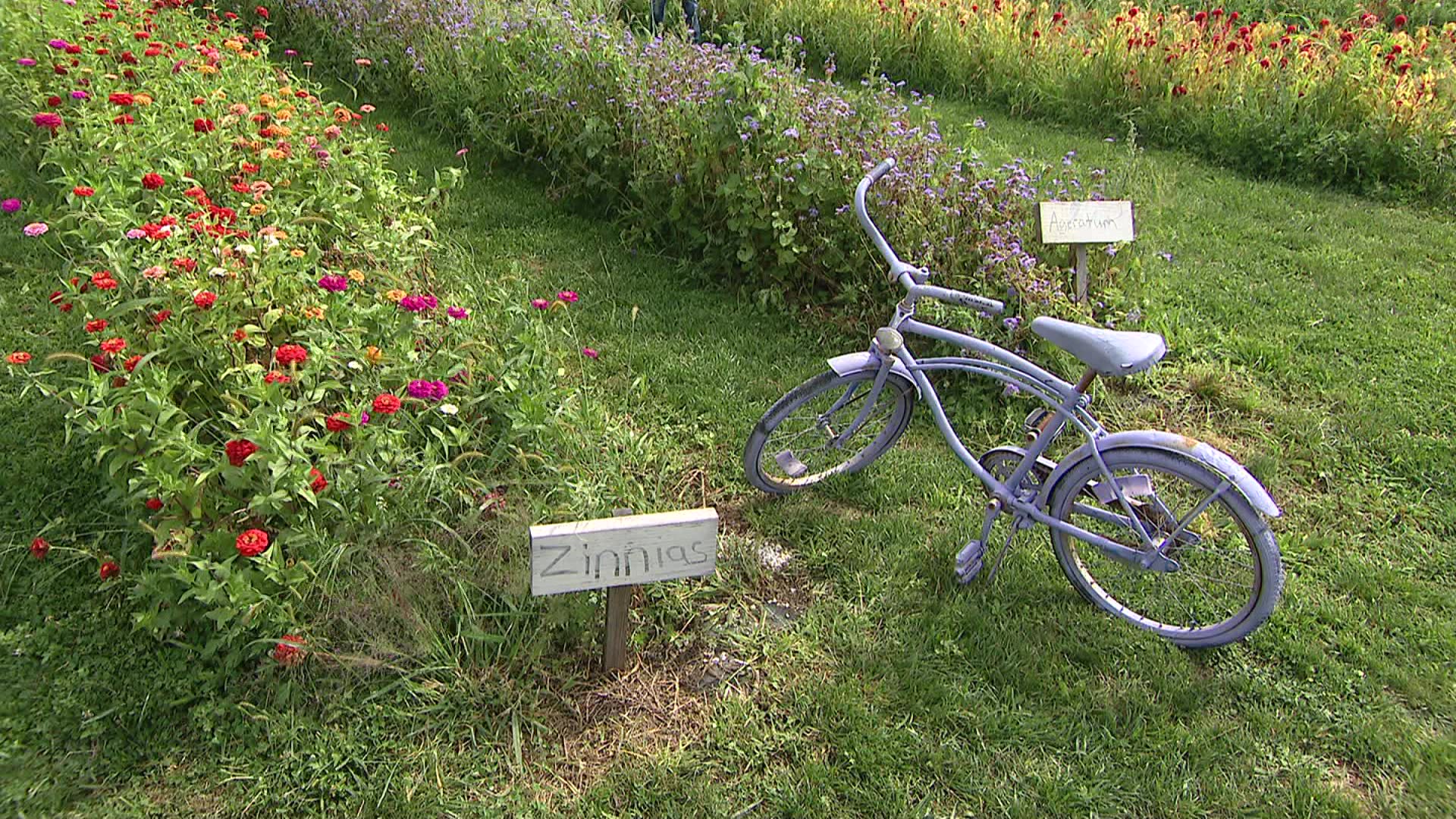 The East End Horton’s Flower Farm in Riverhead