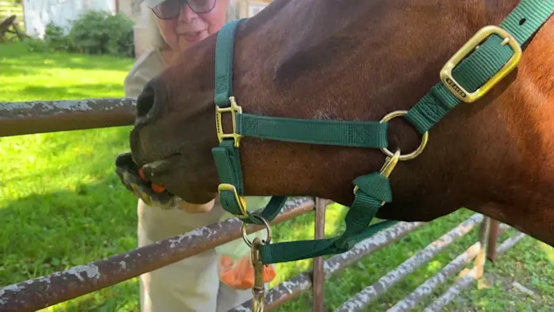 Story image: Ossining sanctuary gives animals and people a second chance