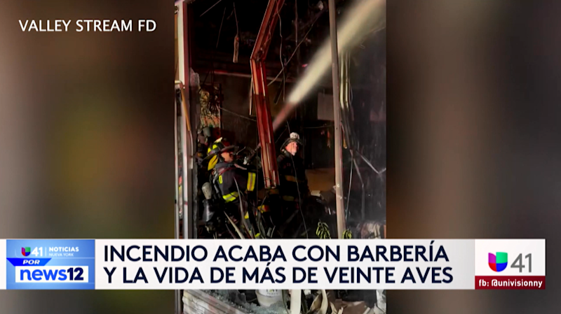 Story image: Univision 41 News Brief: Incendio acaba con barberia y la vide de mas de veinte aves