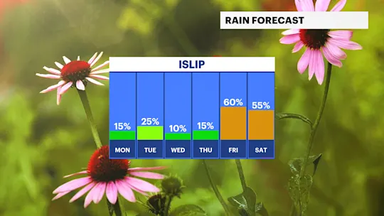 FB Rain Day-D6C7LPY2