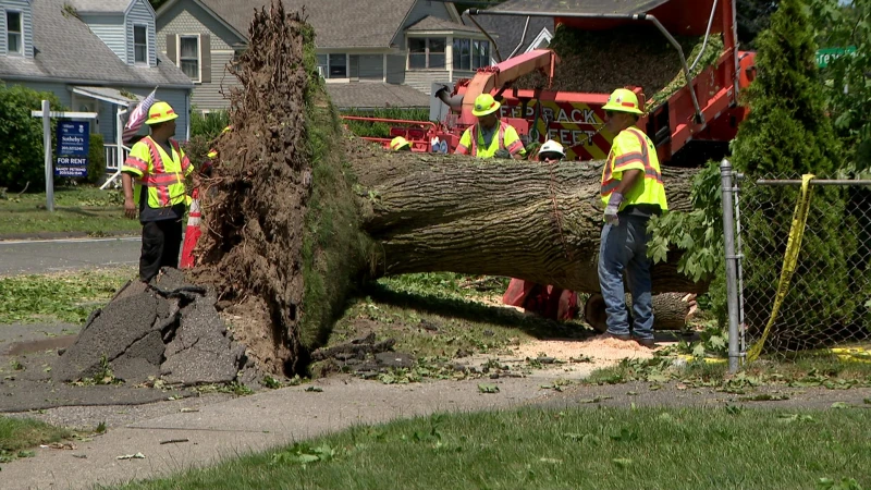 Story image: Stratford woman says storm damage could’ve been prevented