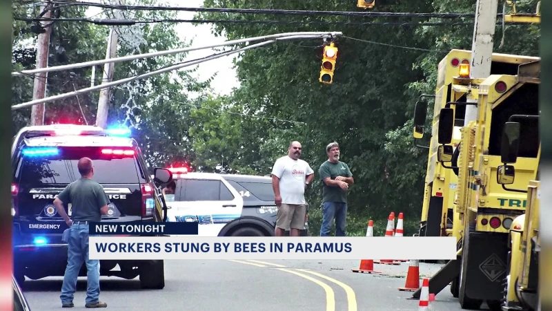 Story image: Police: 3 people hospitalized as bee swarm takes over Paramus neighborhood