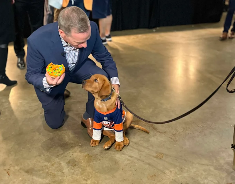 newdog.jpg