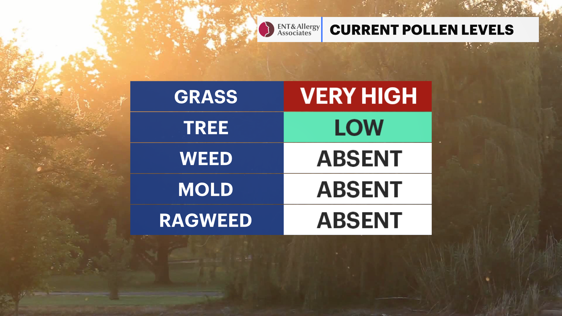 AG C_Pollen.png