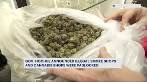 Gov. Hochul announces more than 100 illegal cannabis shops were shut down and padlocked 