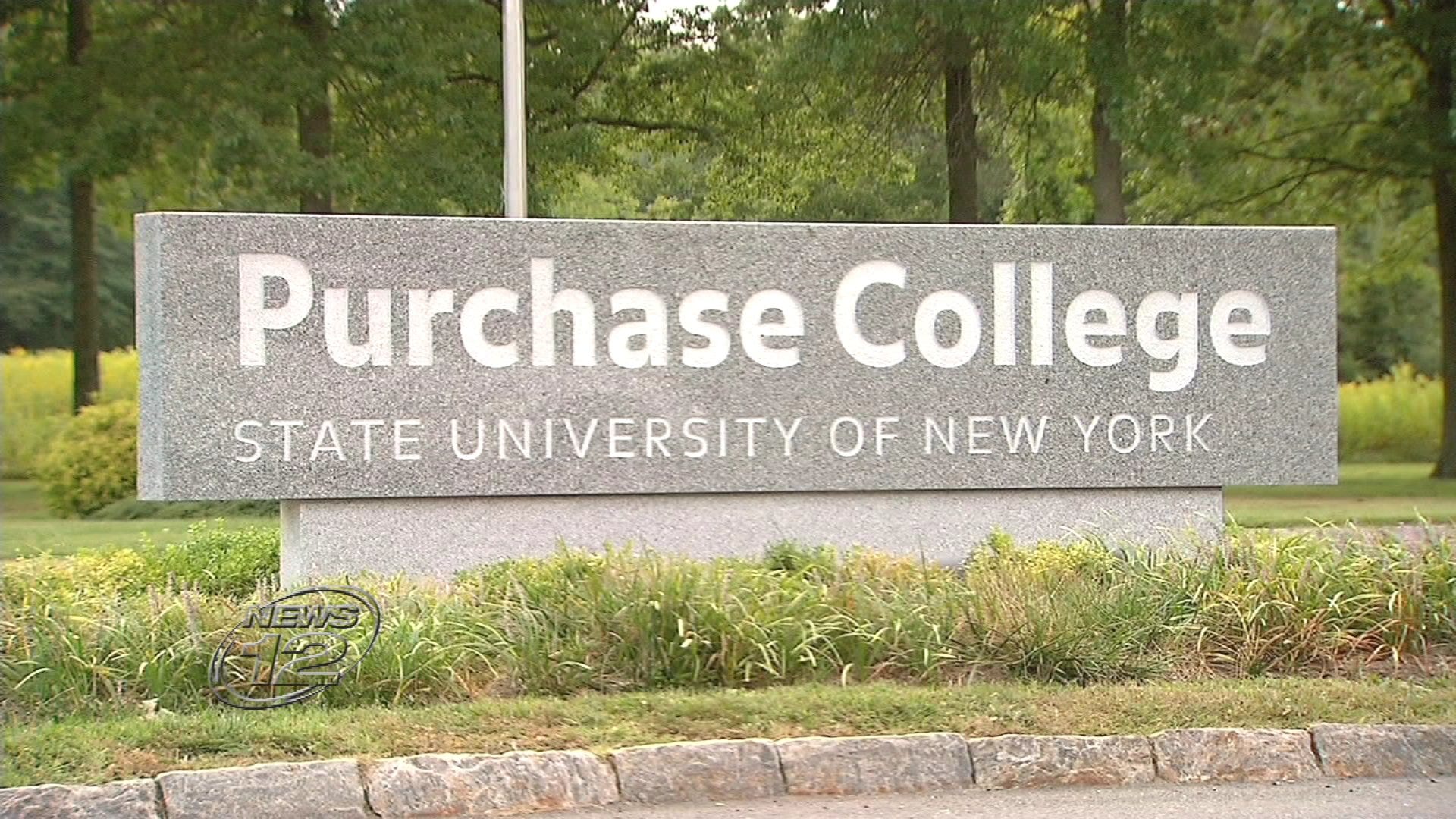 Article 116287 Thumbnail