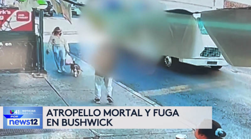 Story image: Univision 41 News Brief: Atropello mortal y fuga en Bushwick